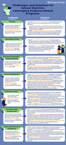 CG School Challenges & Solutions Infographic Final